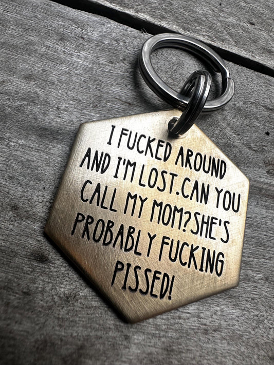Dog Tag, Dog Collar Tag, Personalized Cat Tag, Custom Cat Collar Tag, Cat ID Tag, Dog ID Tag, Dog Name Tag, Engraved Pet Tag,Pissed Dog Tag